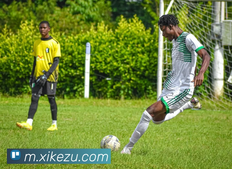 开元网站登录入口平台生态图