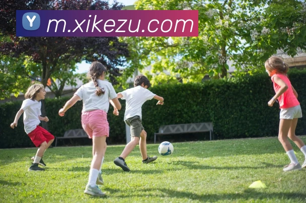 数据防护可视化